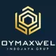 image de alianza strategica comercial en Asia, BOYMAXWELL